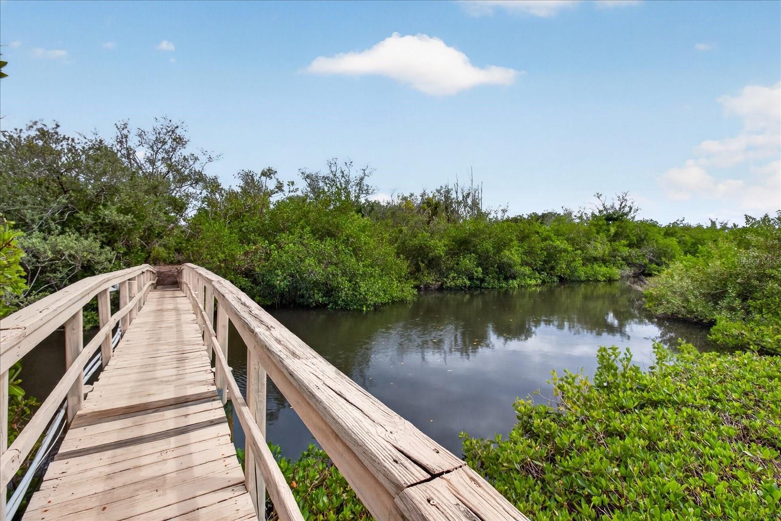 Image 41 of 50 For 4190 Strombus Road