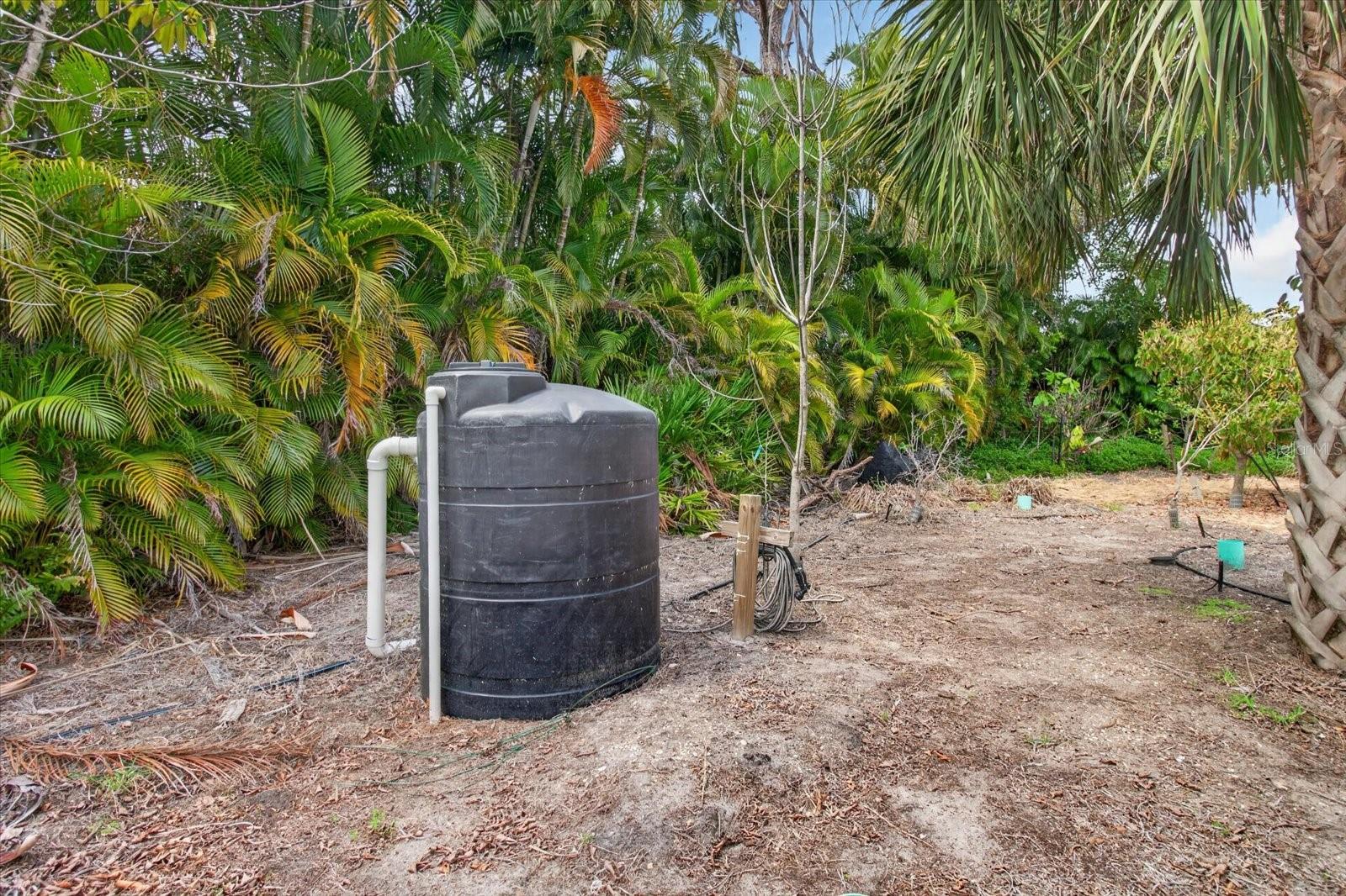 Image 45 of 50 For 4190 Strombus Road