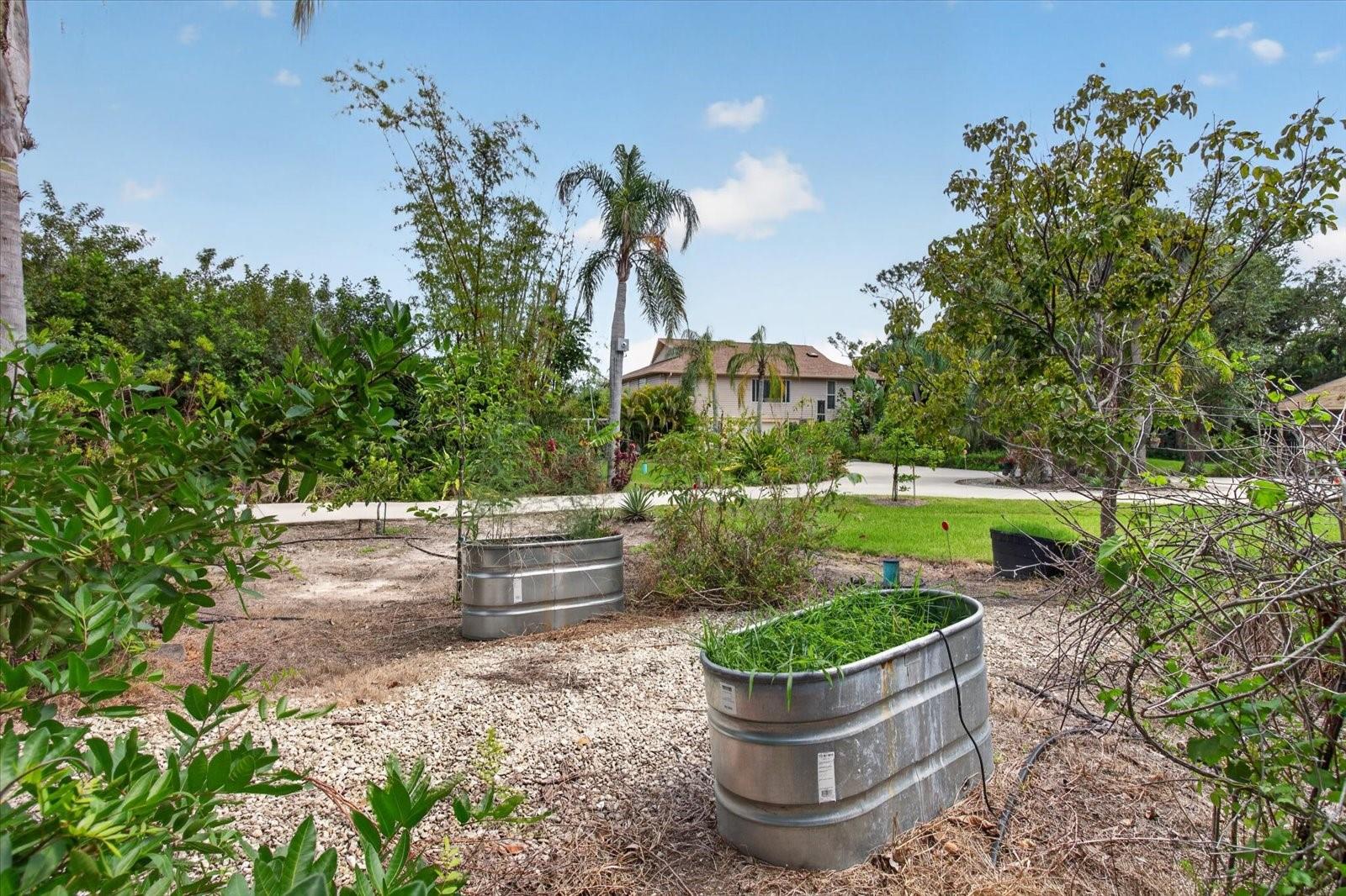 Image 46 of 50 For 4190 Strombus Road