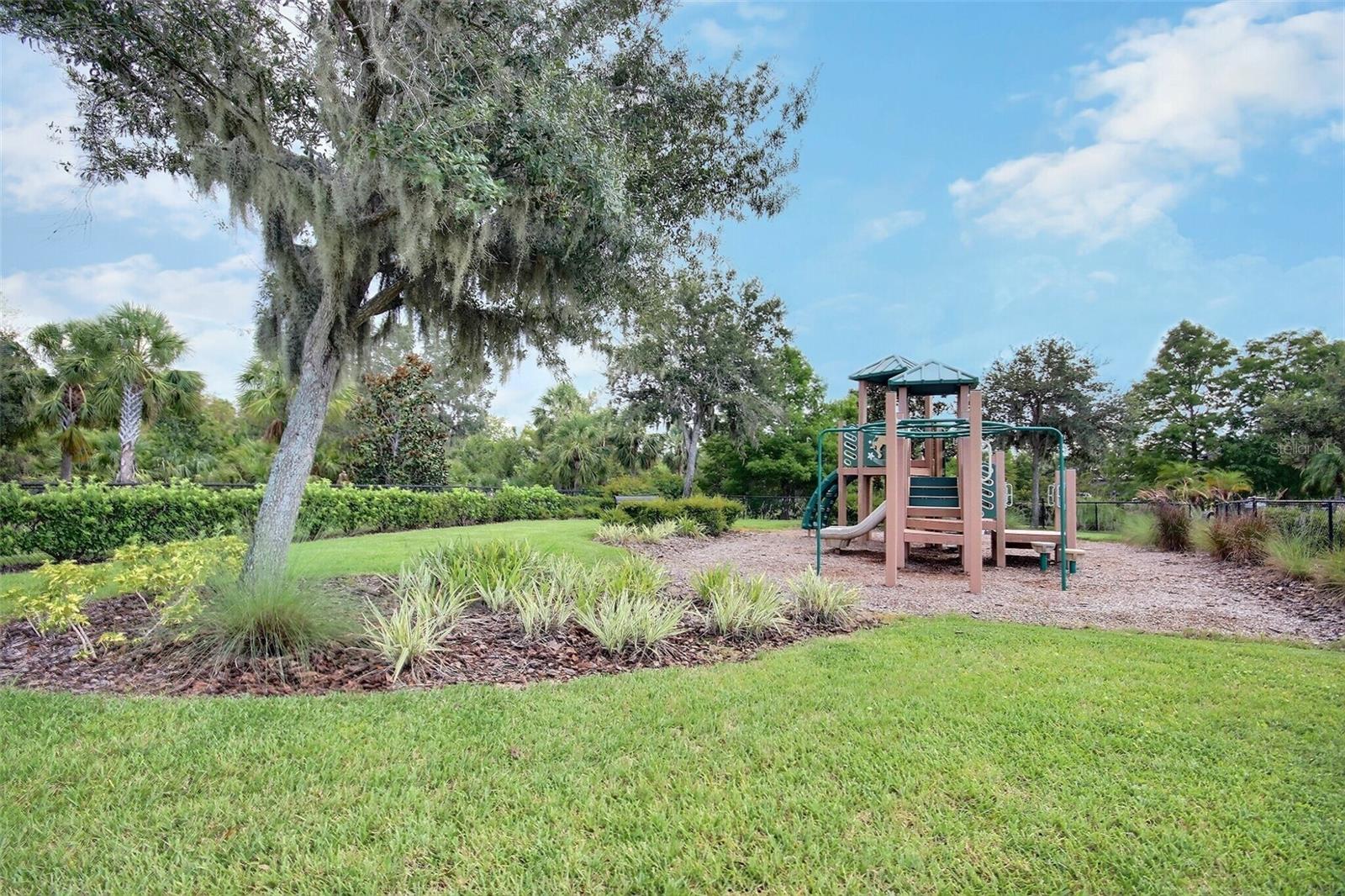 Image 92 of 99 For 10563 Piedra Dr