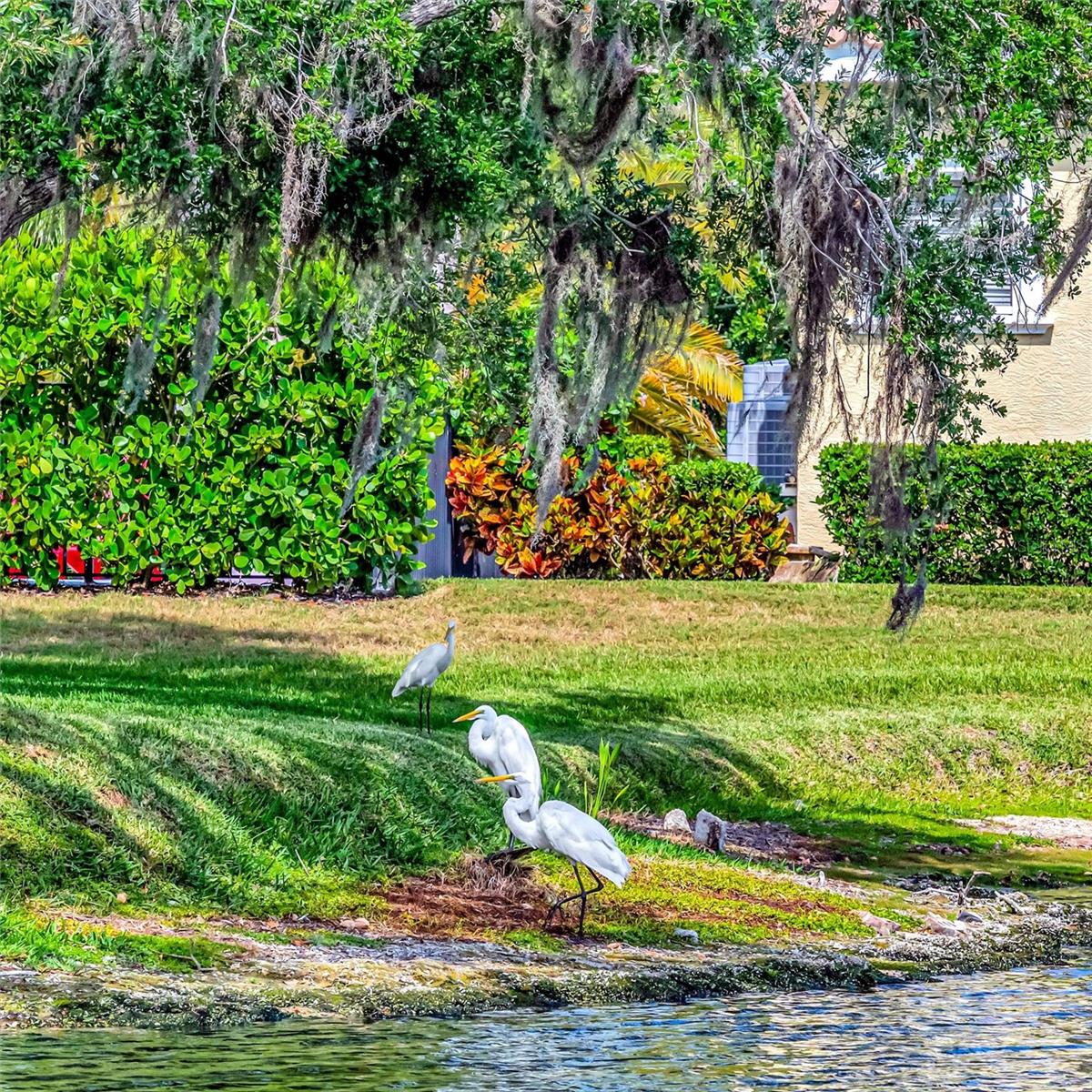 Image 24 of 35 For 1846 Amberwynd Circle W