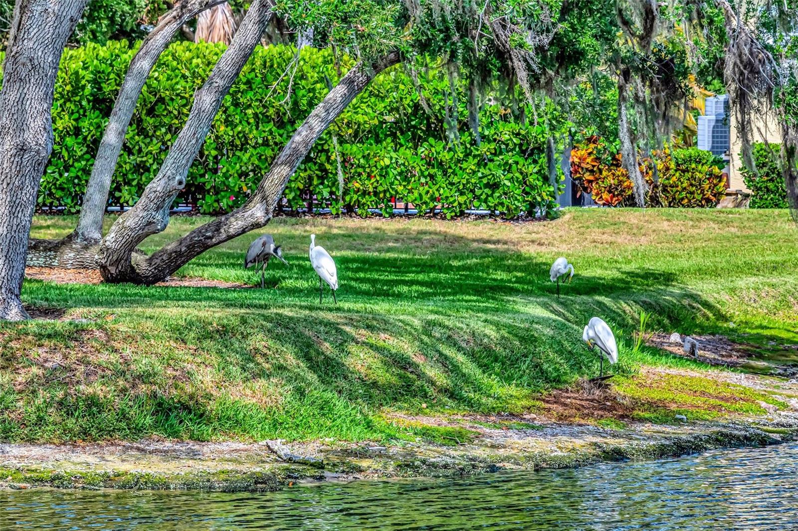 Image 25 of 35 For 1846 Amberwynd Circle W