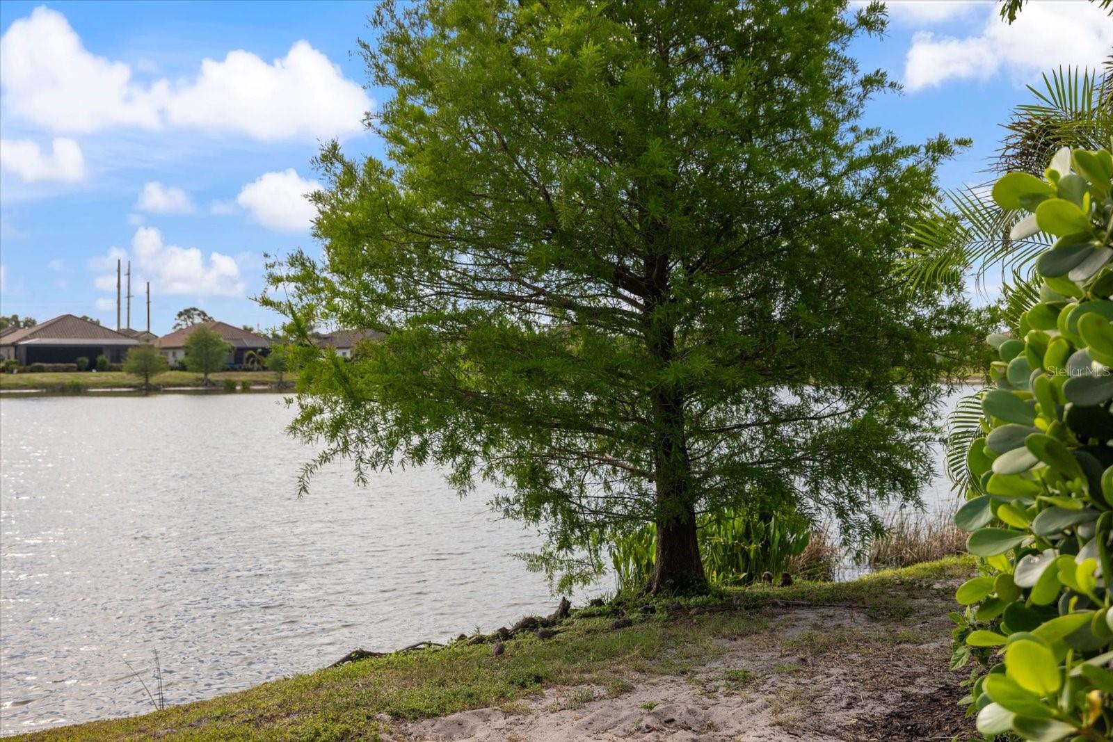 Image 45 of 56 For 26821 Weiskopf Drive