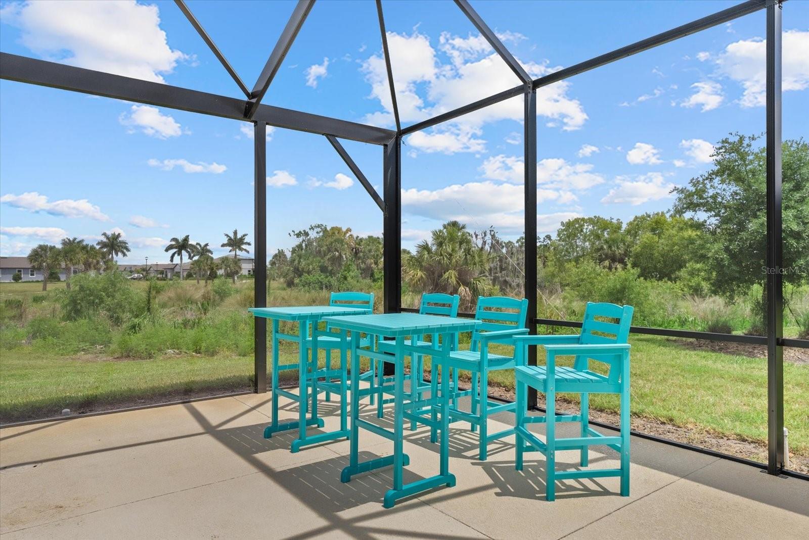 Listing photo id 39 for 8510 Coastal Palms Glen