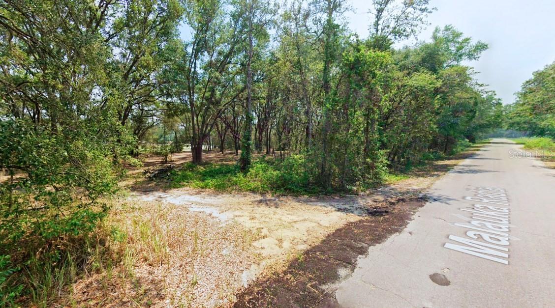 Image 10 of 10 For Tbd Malauka Radial