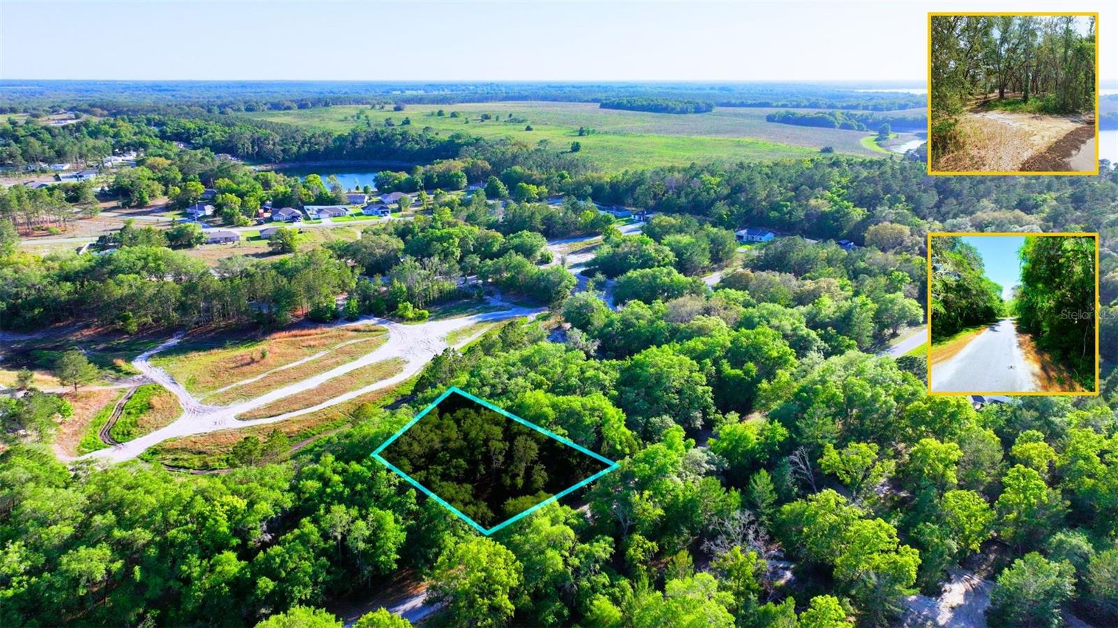 Image 4 of 10 For Tbd Malauka Radial