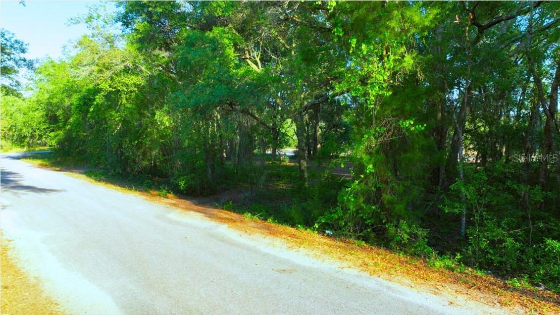 Image 9 of 10 For Tbd Malauka Radial