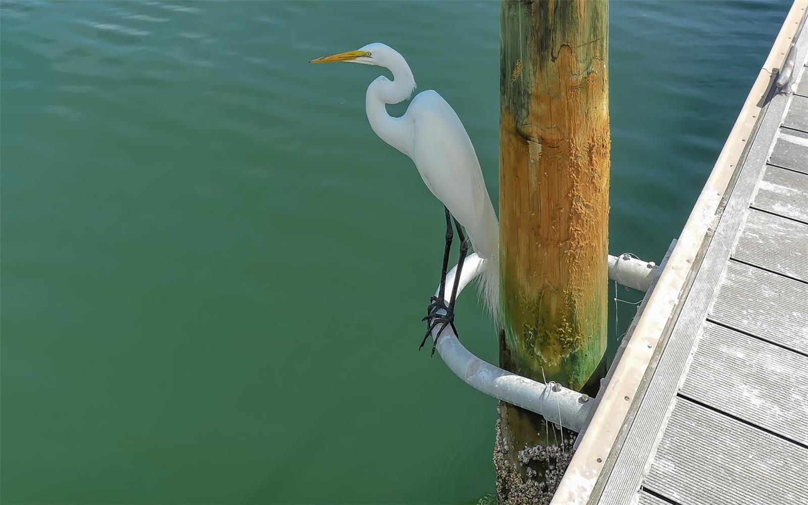 Image 71 of 82 For 925 Spanish Drive N