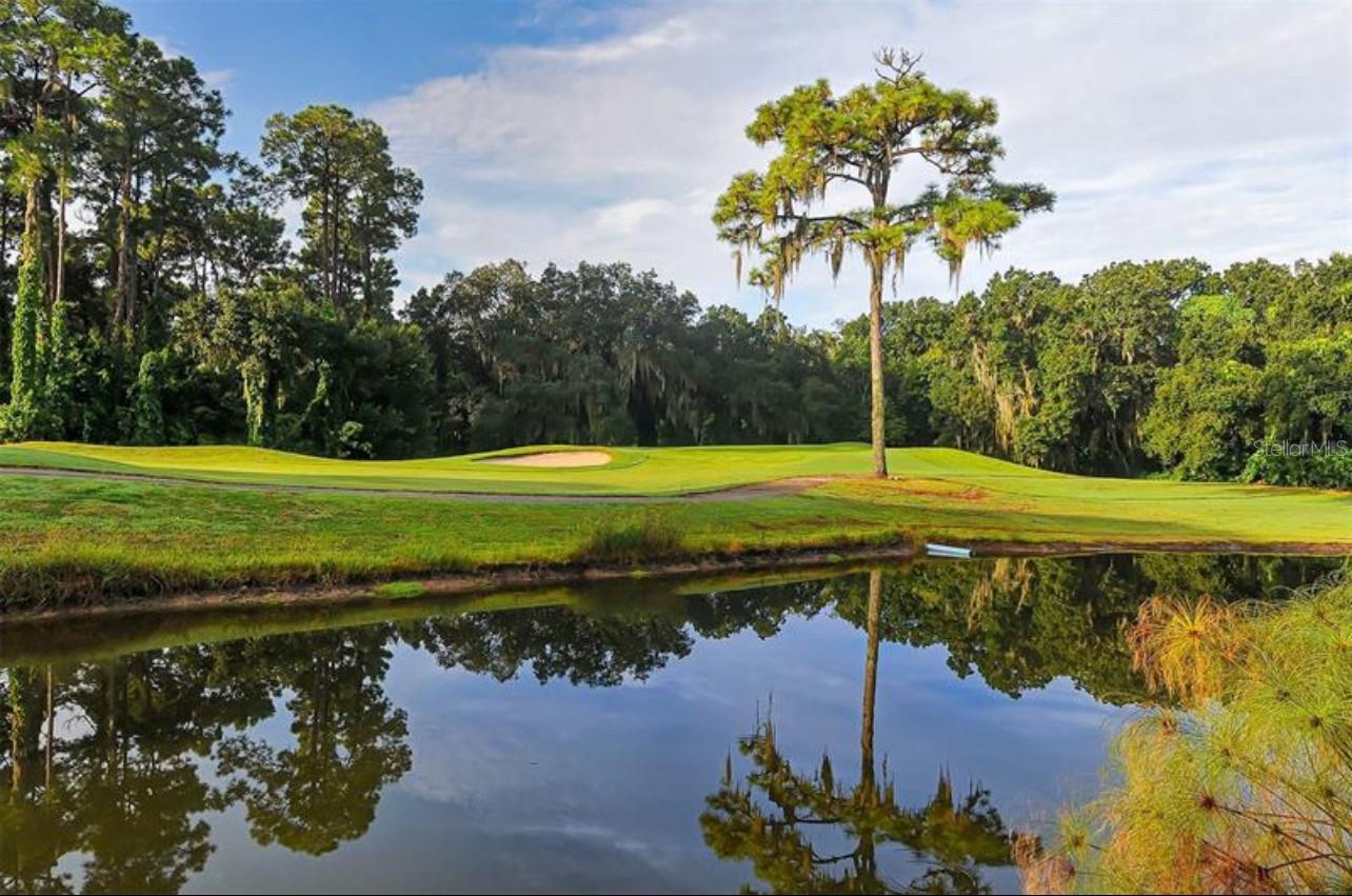 Image 32 of 33 For 5655 Sheffield Greene Circle 61