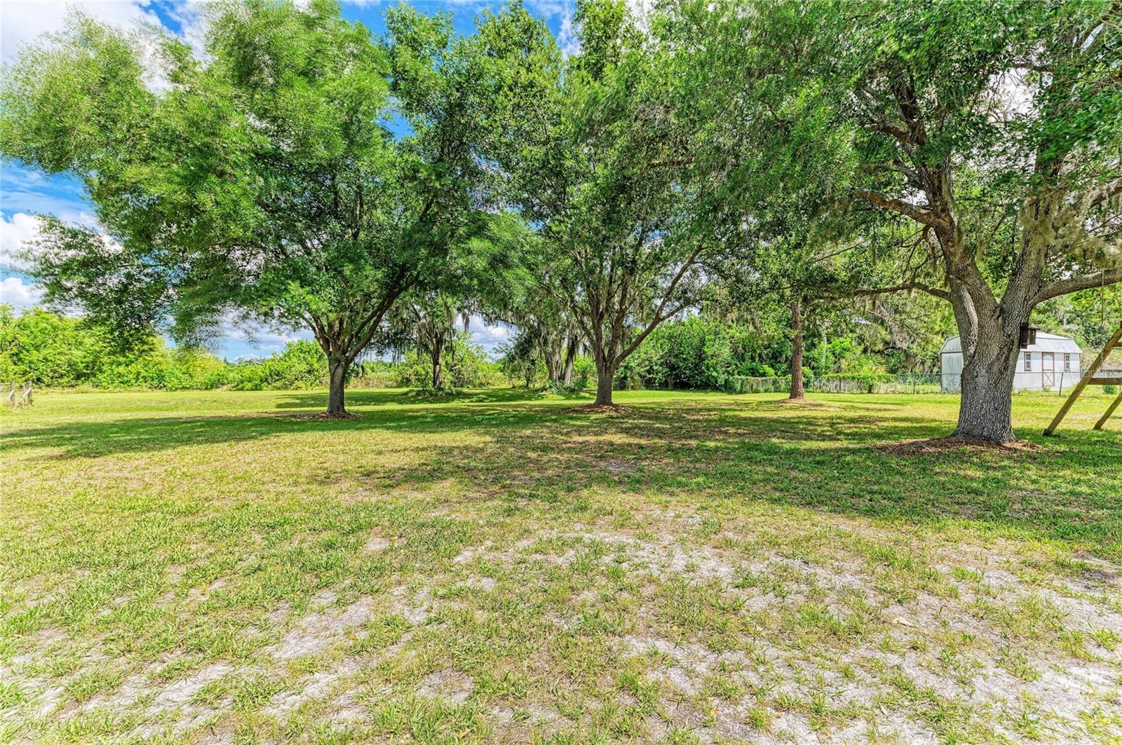 Image 37 of 37 For 6109 26th Avenue E