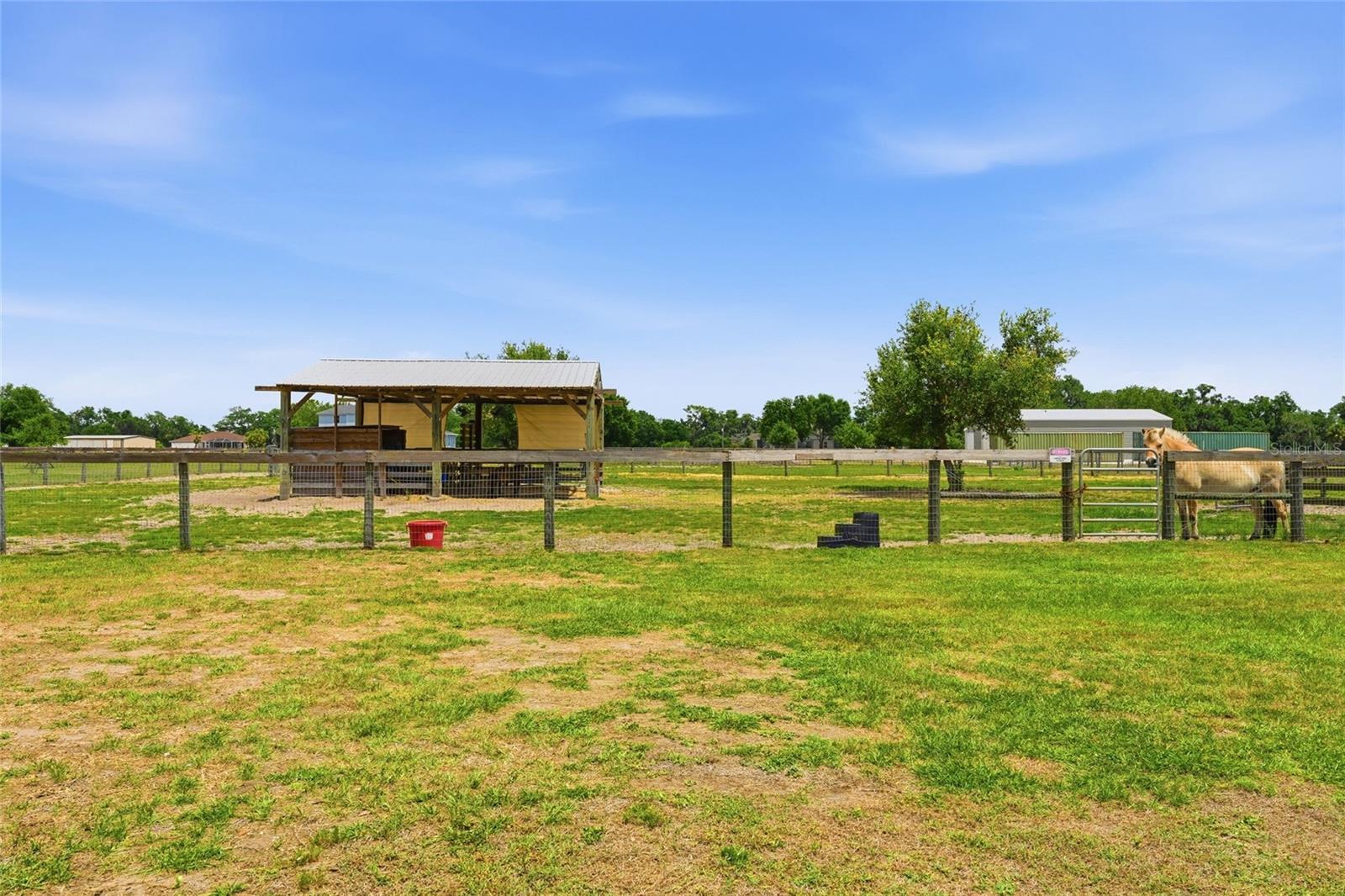 Image 43 of 51 For 6104 Spencer Parrish Road