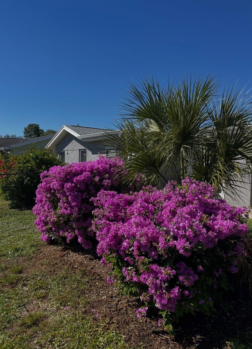 Image 71 of 76 For 2824 Shannon Drive