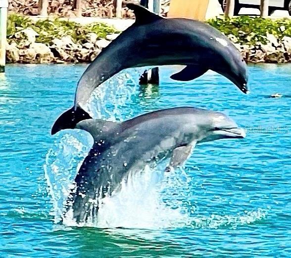 Image 4 of 24 For 102 2nd Avenue