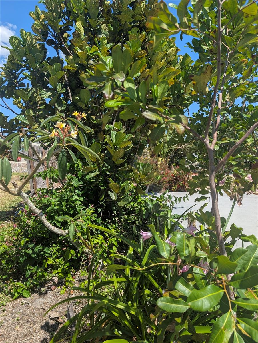 Image 6 of 9 For 1273 Kingfisher Drive