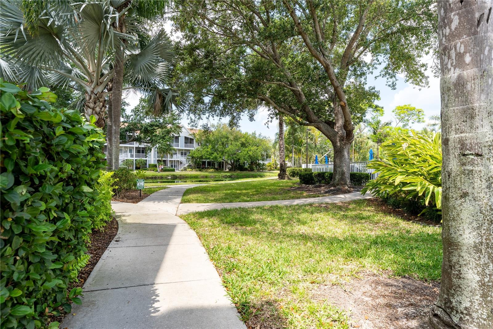 Image 46 of 90 For 850 Tamiami Trail 604