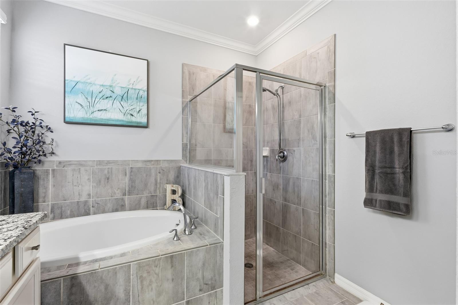 Image 37 of 77 For 10103 Marbella Drive