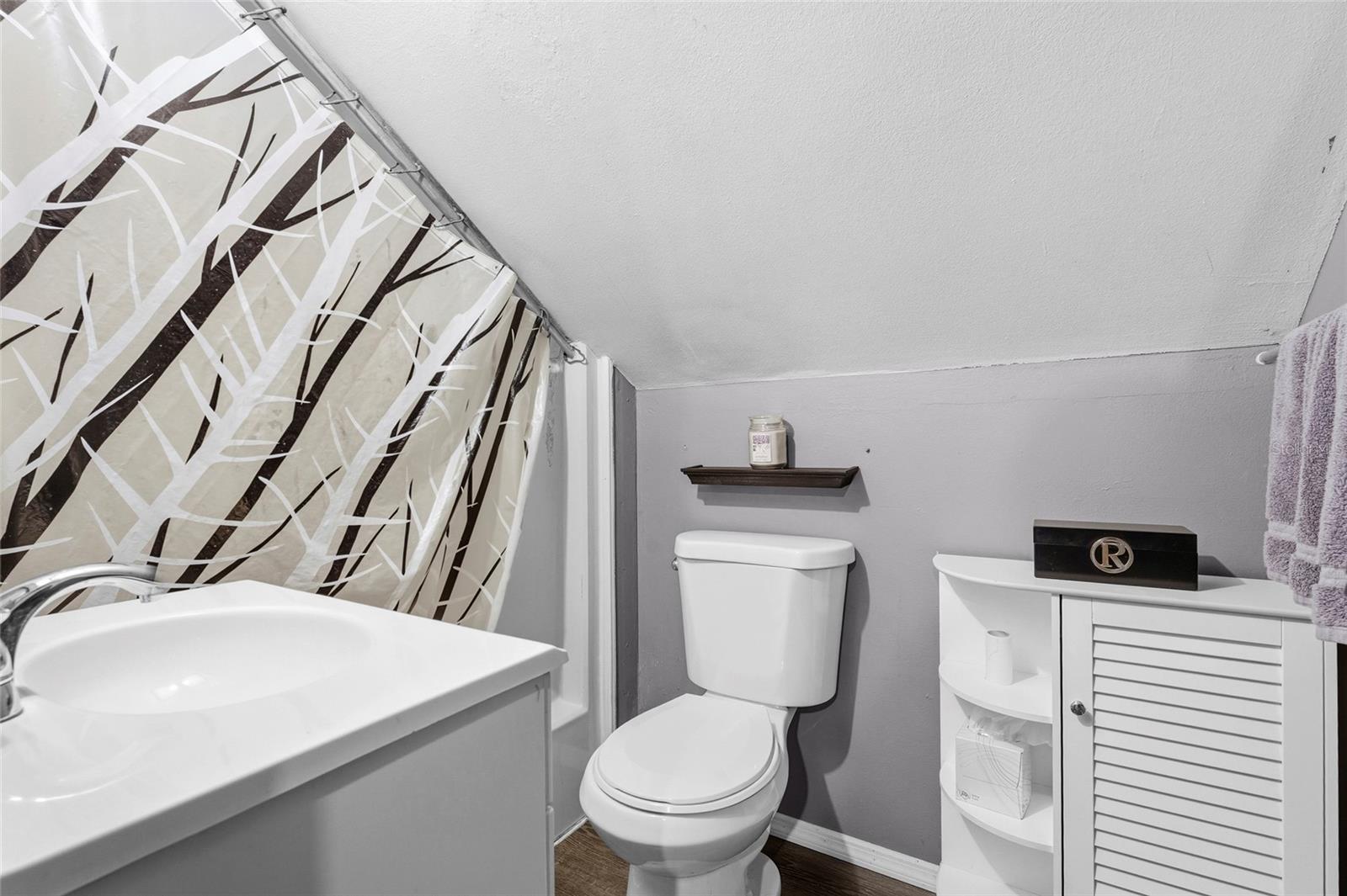 Image 23 of 47 For 219 39th Street E