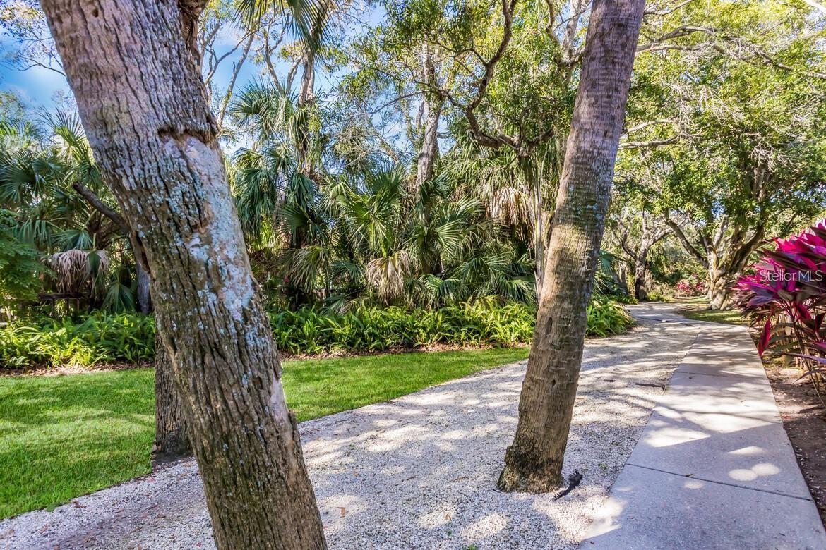 Image 33 of 37 For 135 Wild Palm Drive