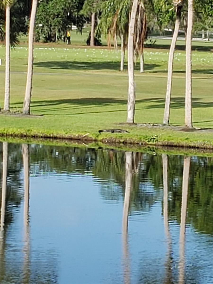 Details for 5709 Avista Drive 4108, SARASOTA, FL 34243