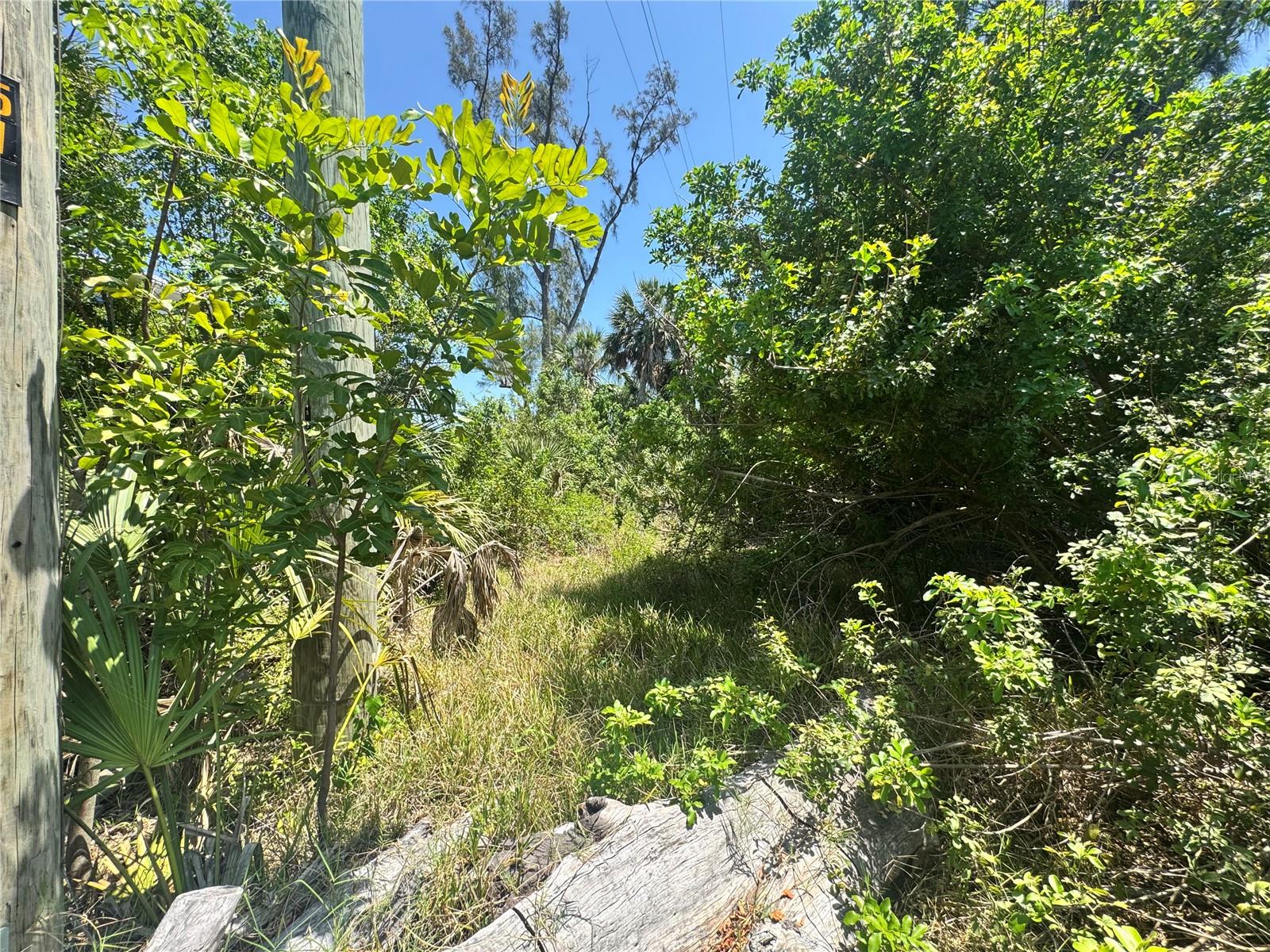Image 10 of 28 For 8992 Seagrape Lane