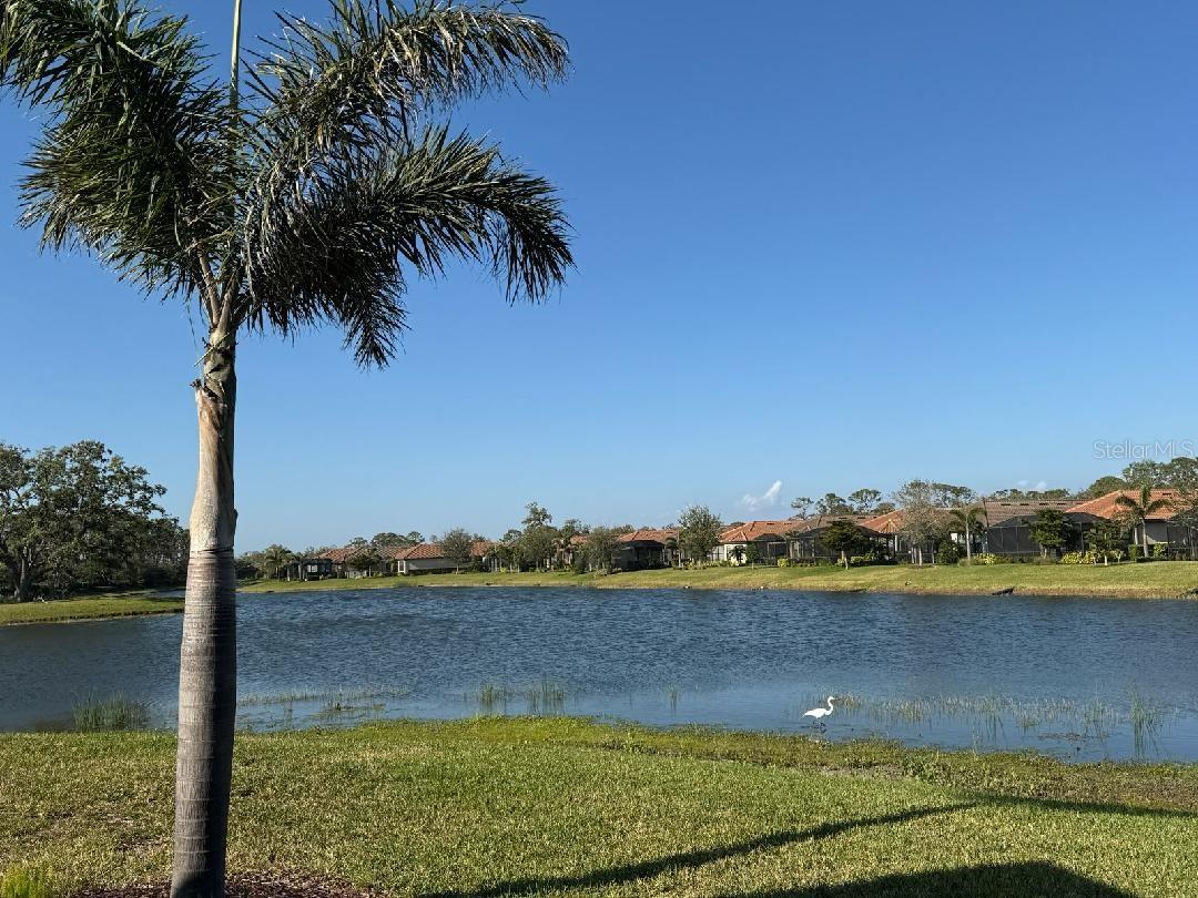 Listing photo id 50 for 5708 Puccini Street
