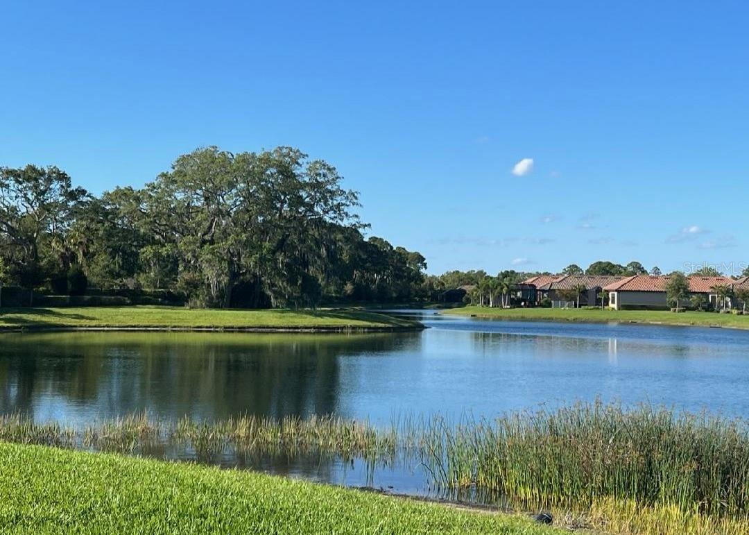 Listing photo id 52 for 5708 Puccini Street