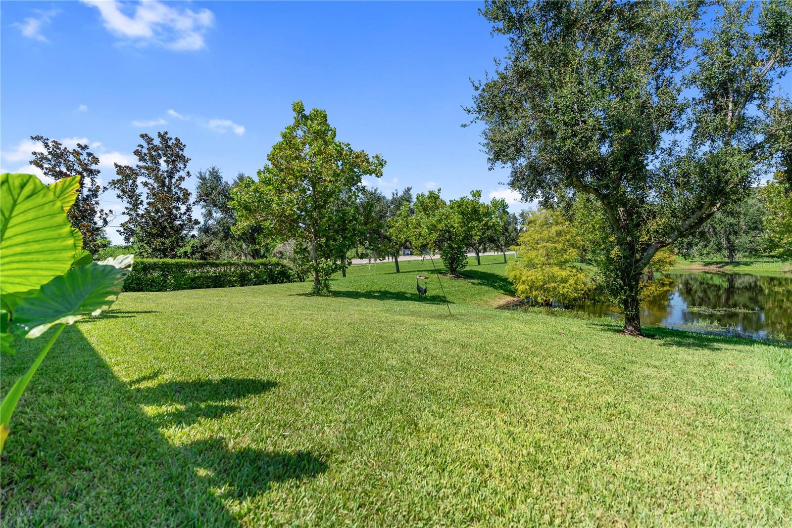 Image 38 of 47 For 6228 35th Court E