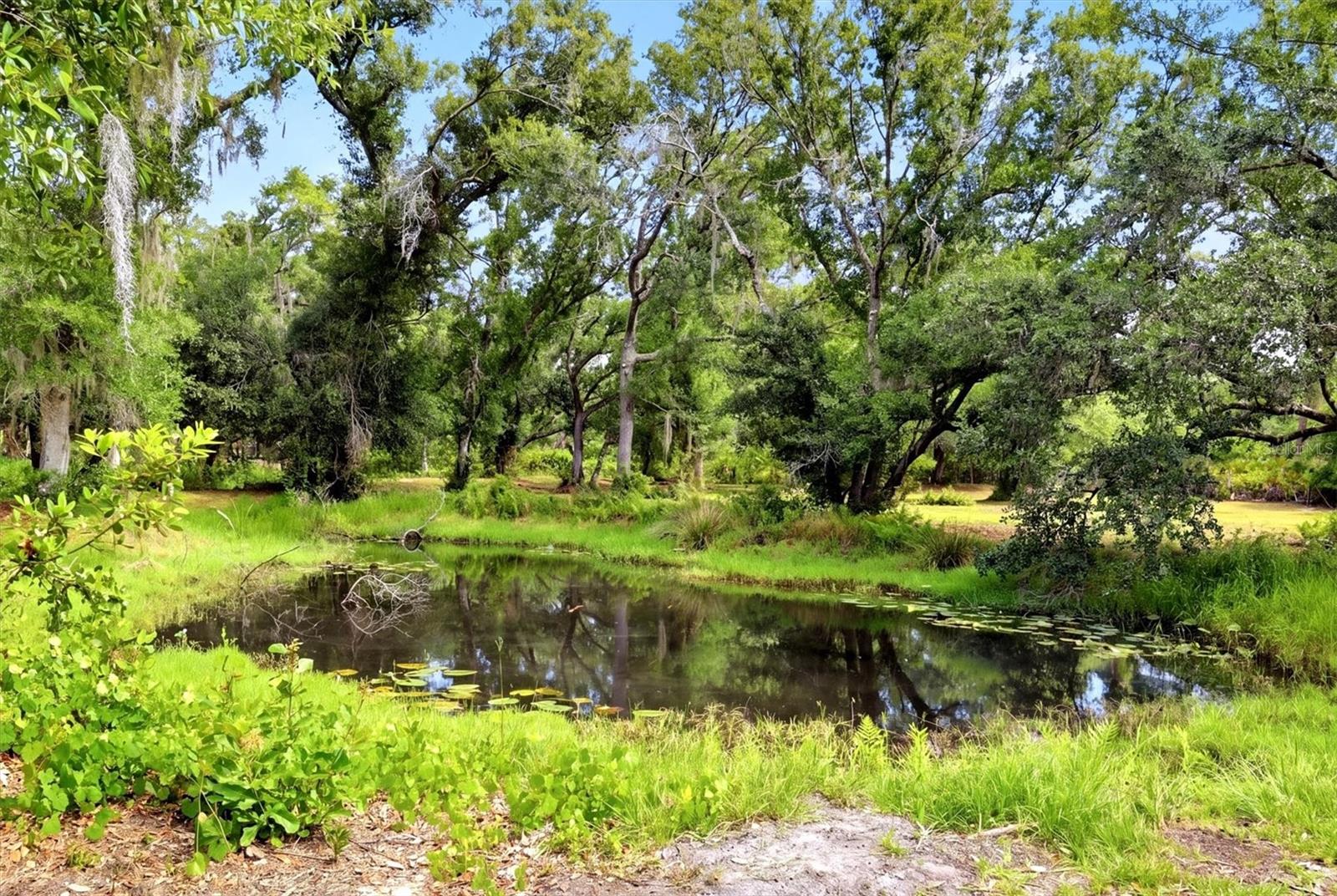 Image 4 of 13 For County Road 675