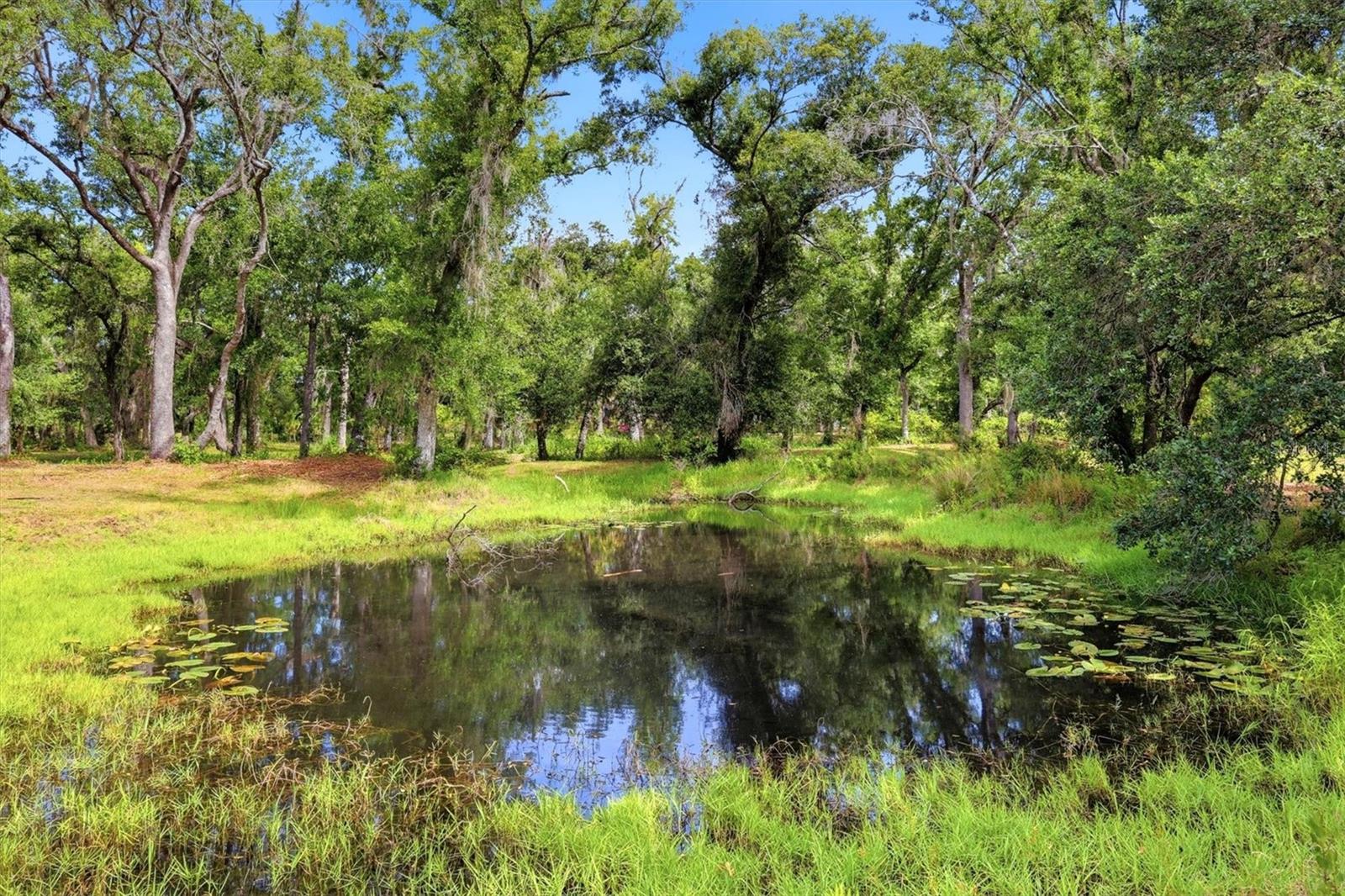 Image 5 of 13 For County Road 675