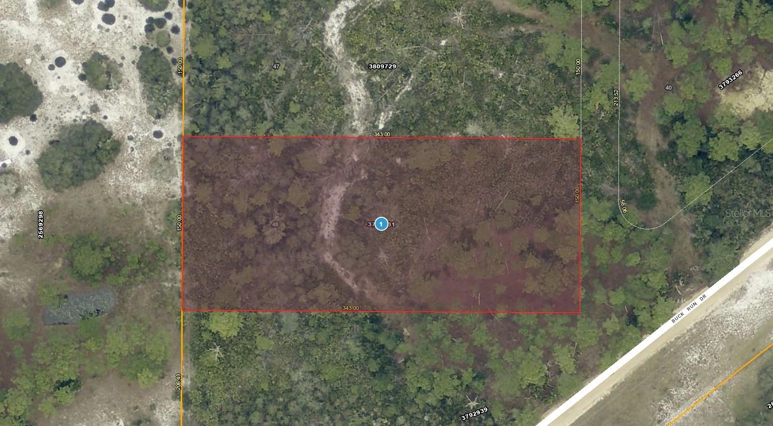 Details for 28-17-28-0004-000-03100 Buck Run Drive, PAISLEY, FL 32767