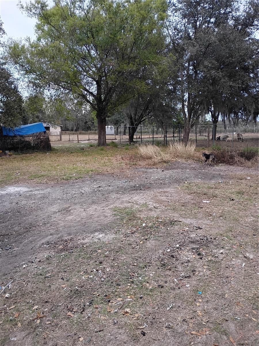 Image 16 of 22 For 1826 County Road 661