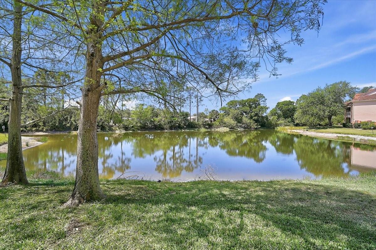Image 23 of 50 For 4138 Central Sarasota Parkway 1534