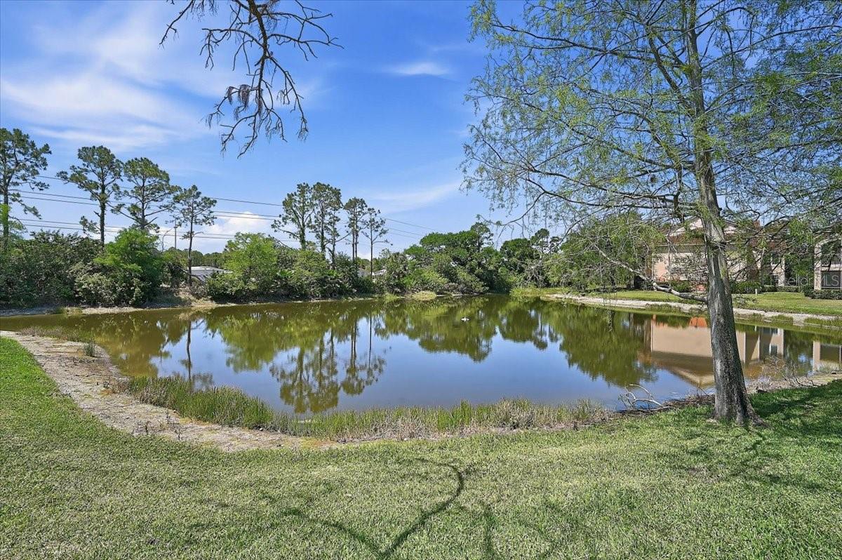 Image 31 of 50 For 4138 Central Sarasota Parkway 1534