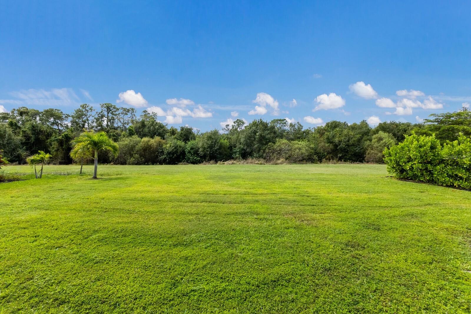 Image 36 of 45 For 4528 Pond Brook Court