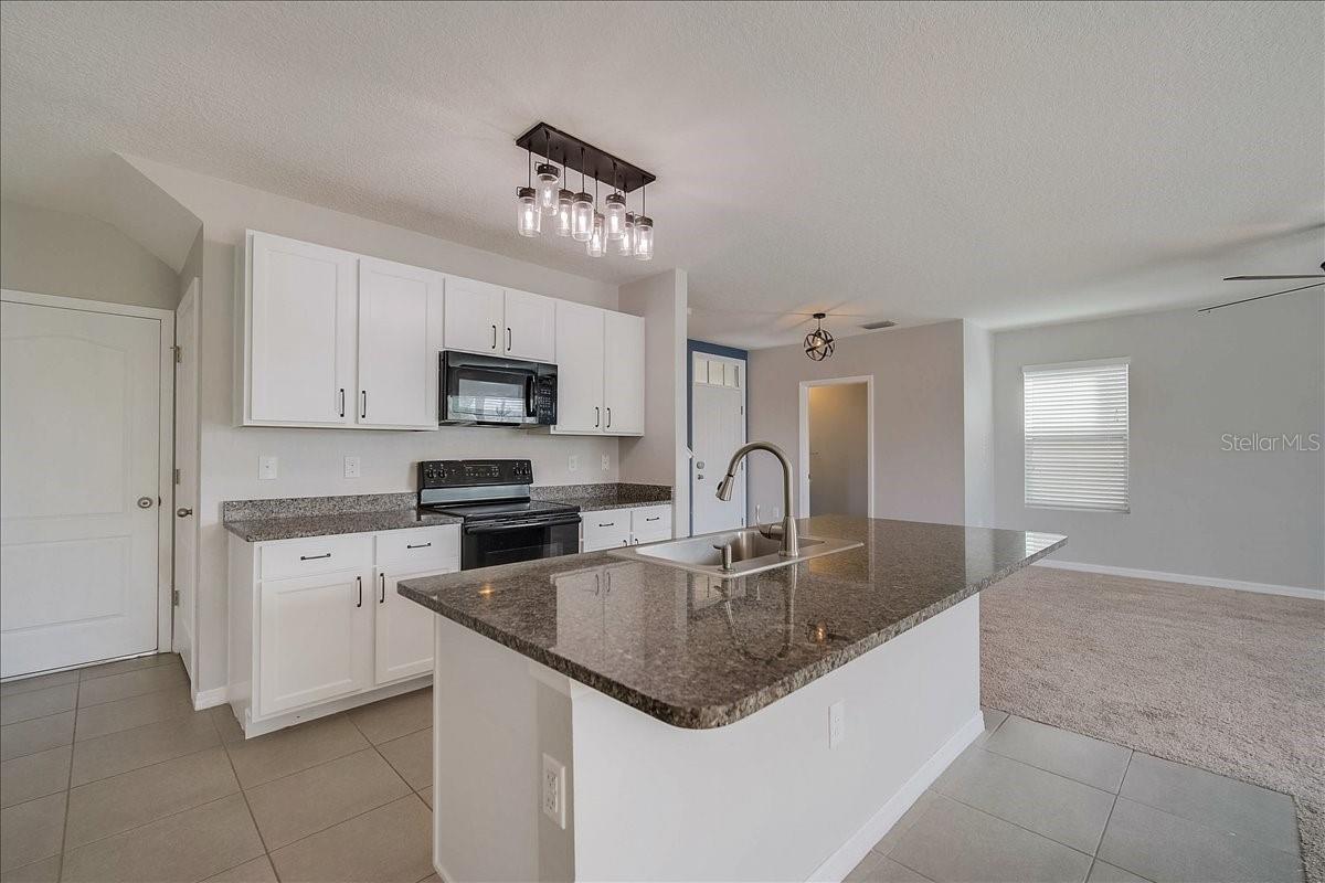 Image 9 of 31 For 4838 San Palermo Drive