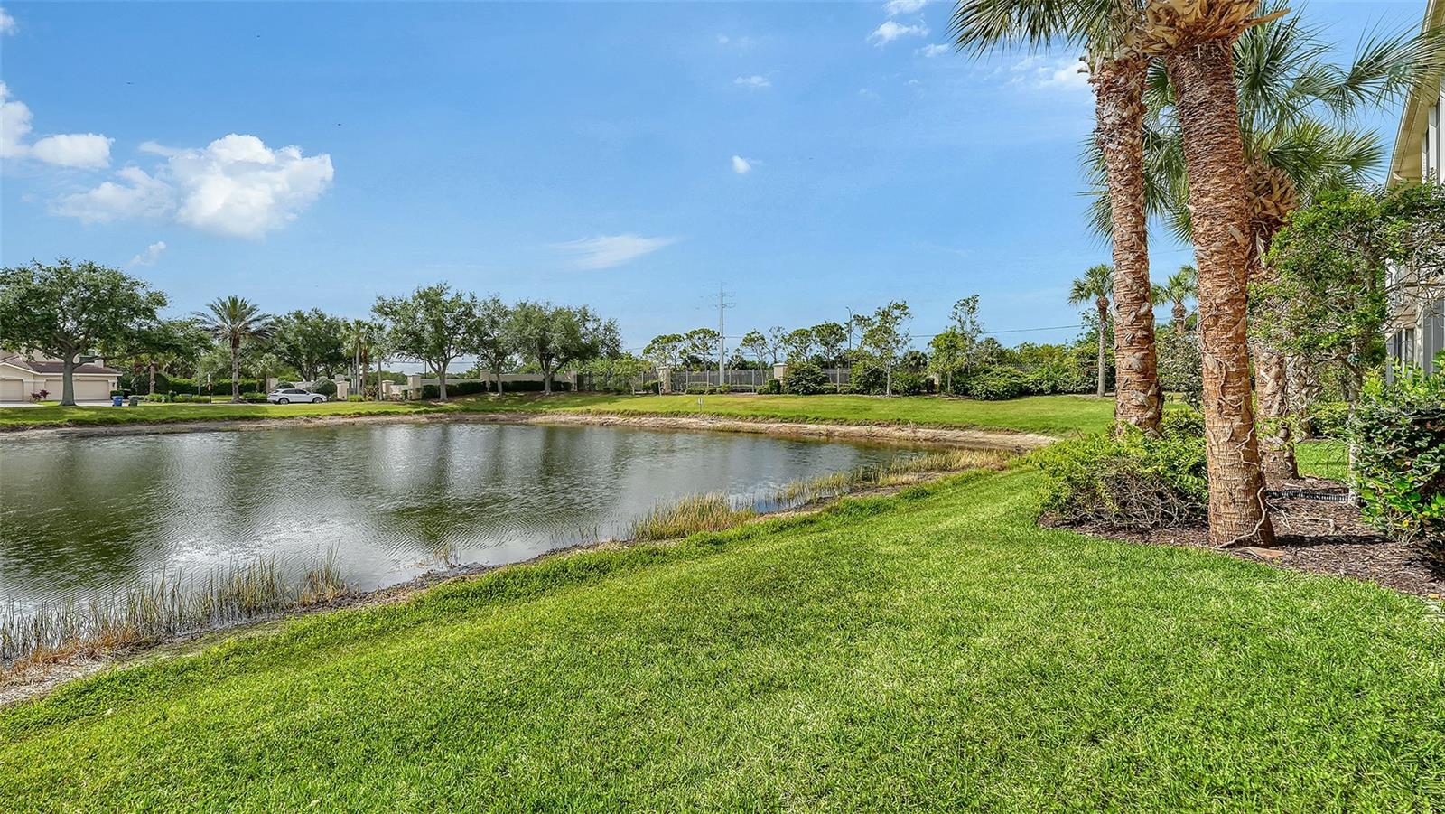 Image 28 of 49 For 4469 Cinnamon Drive 2505