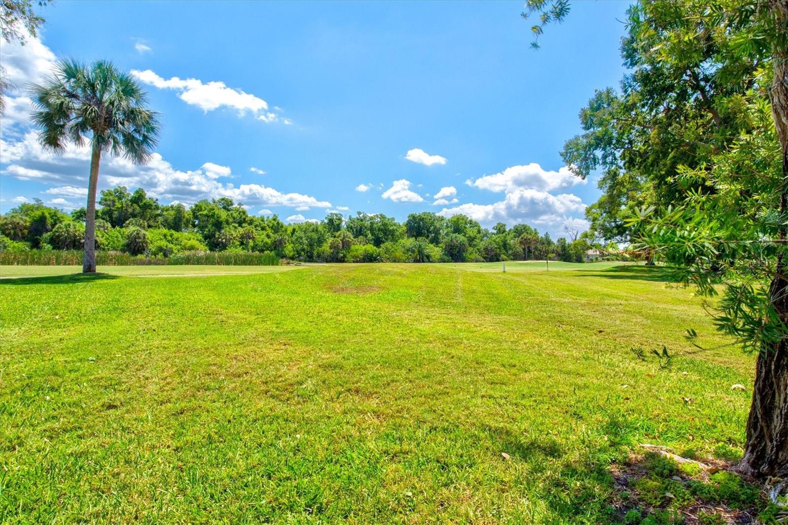 Image 34 of 48 For 792 Capri Isle Blvd  134