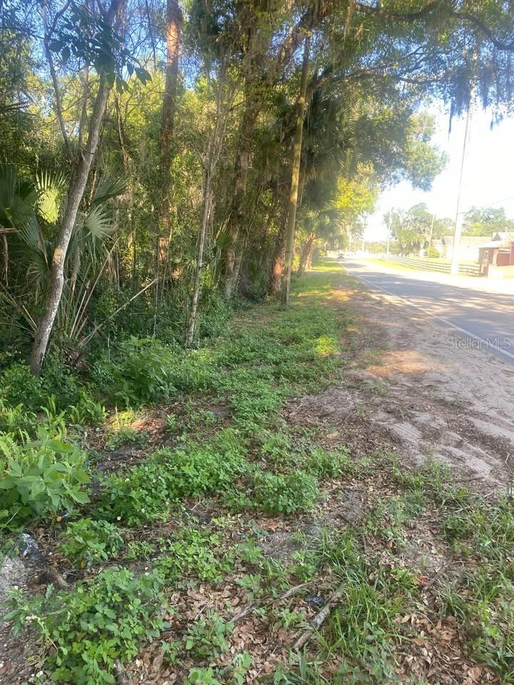 Image 5 of 10 For Spring Garden Ranch