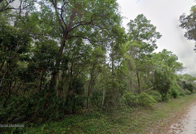 Details for 88 463rd Avenue, OLD TOWN, FL 32680
