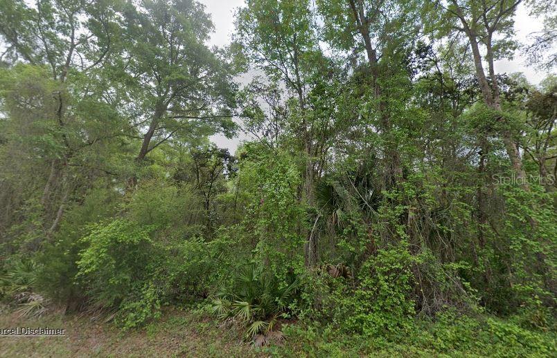Image 2 of 4 For 88 463rd Avenue