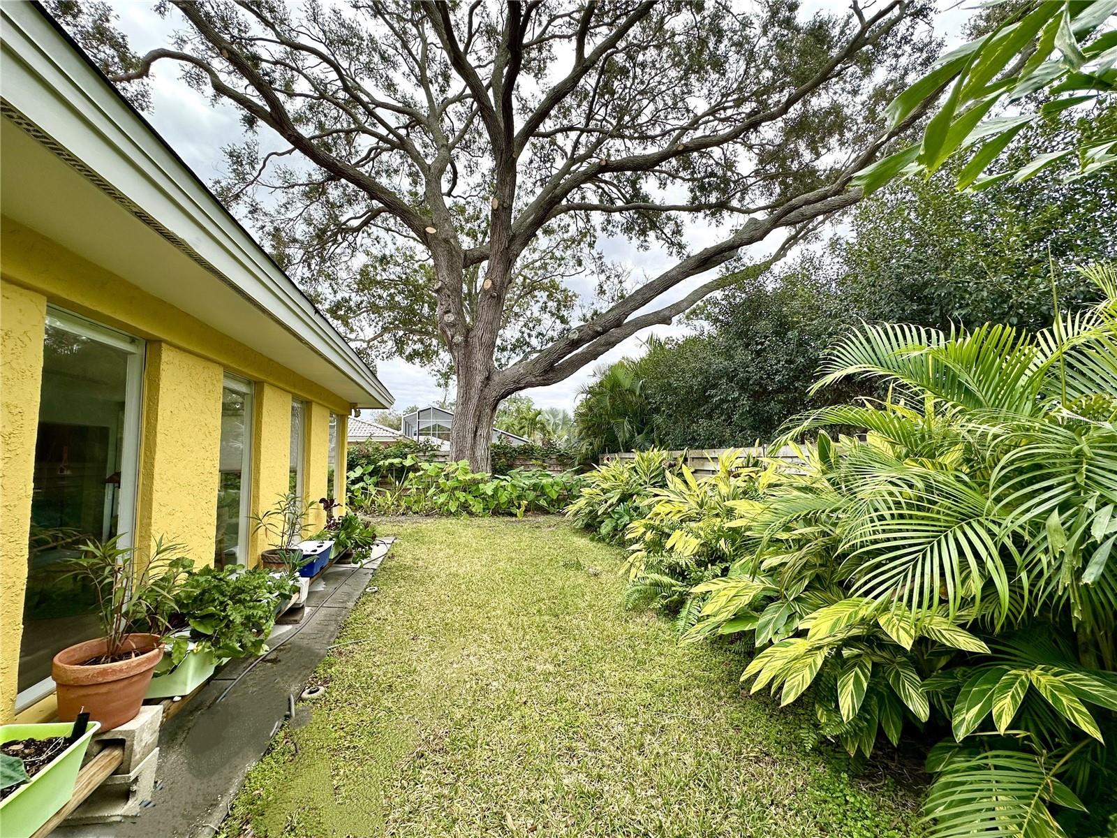 Image 6 of 45 For 1883 Riviera Circle