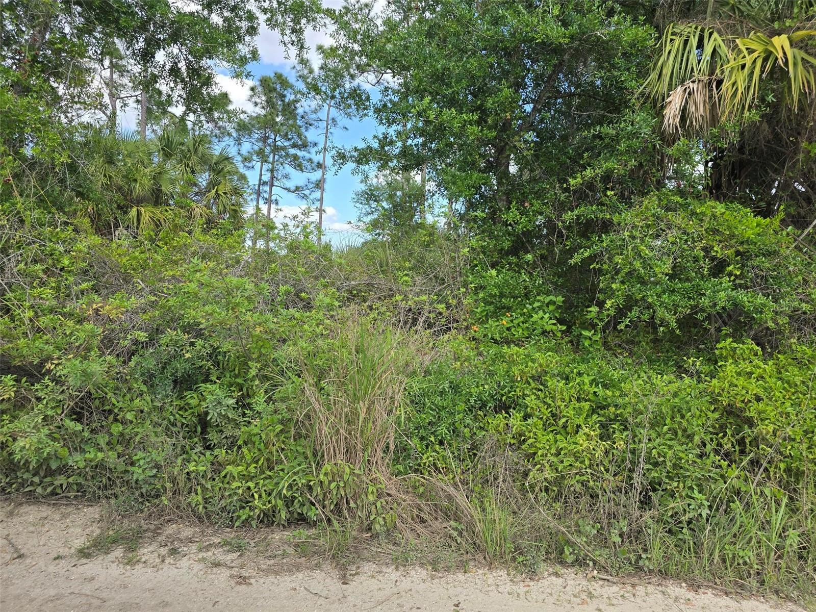 Image 3 of 5 For 8442 Grove Boulevard
