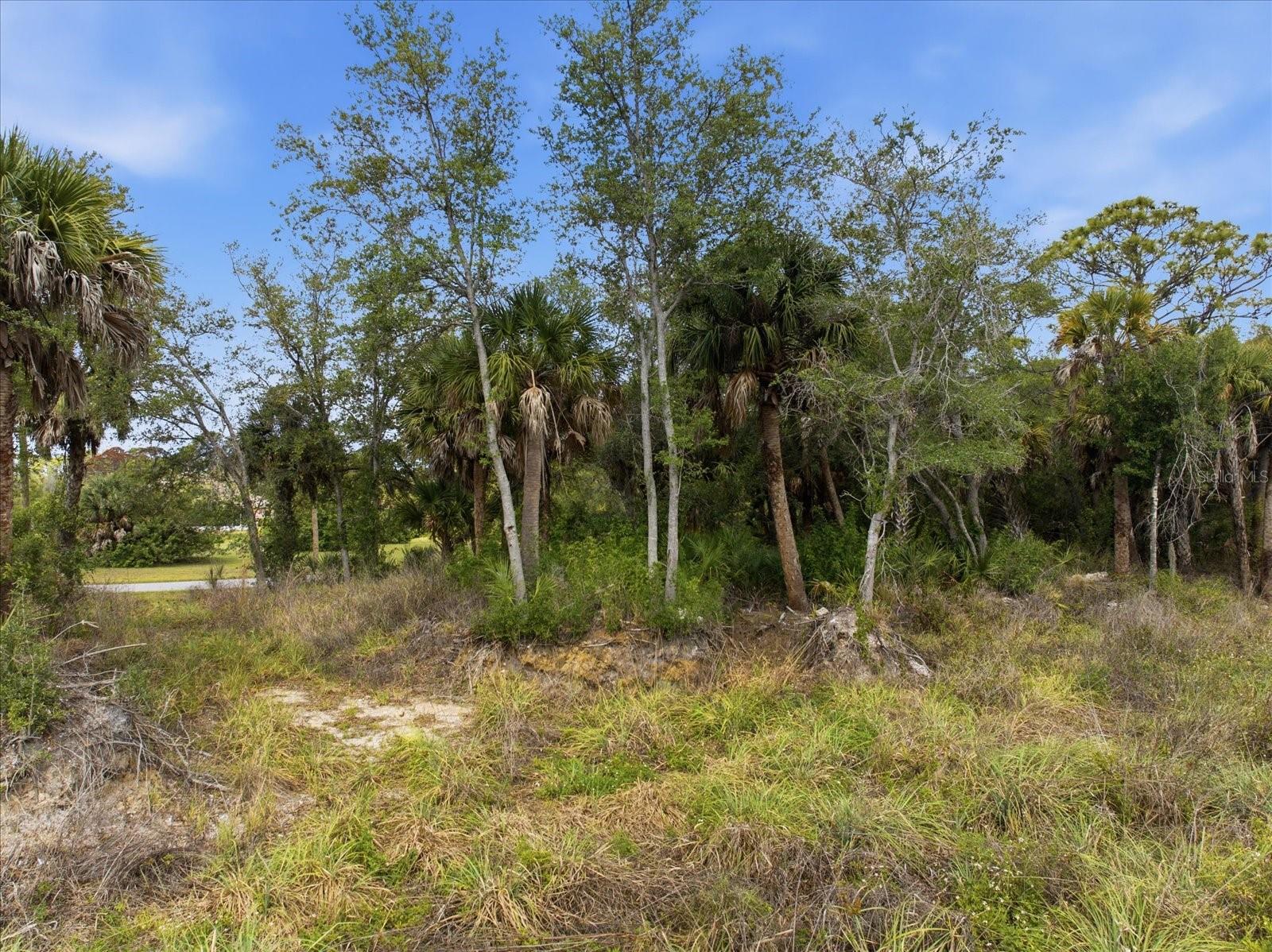Image 11 of 12 For 554 Mcdill Drive