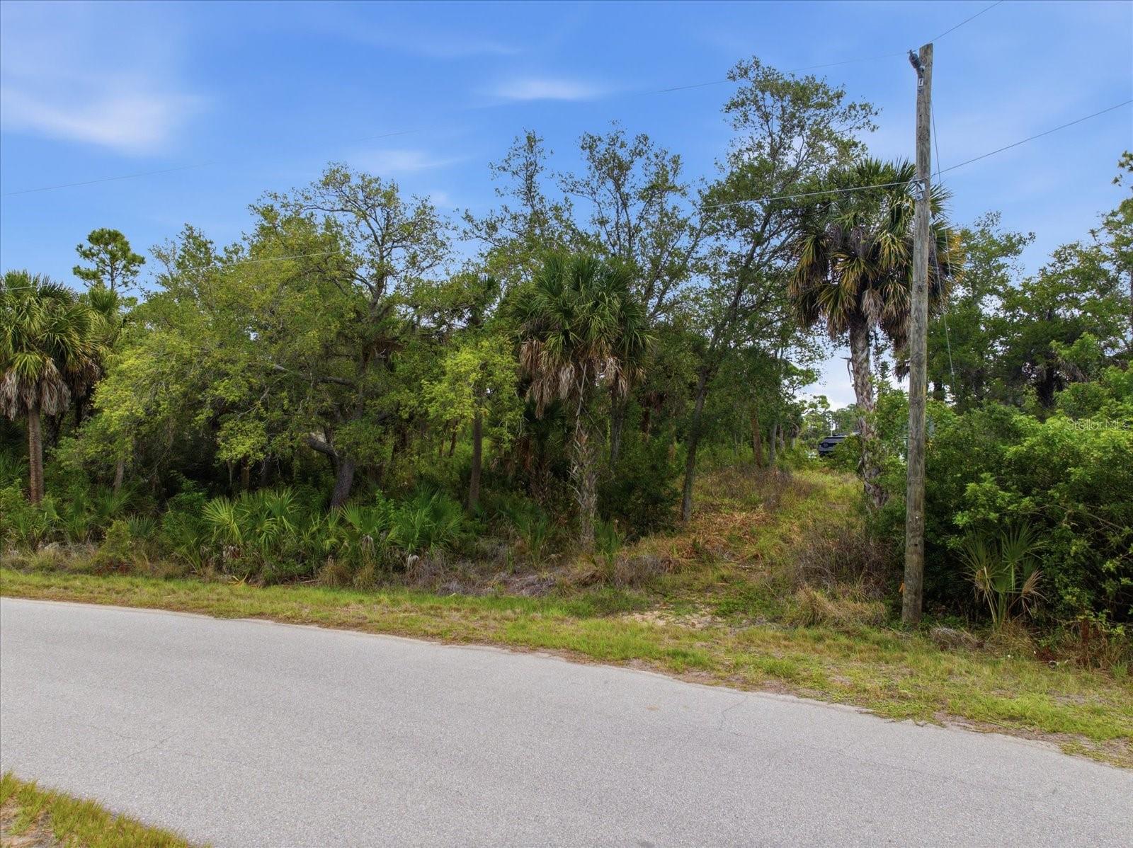 Image 5 of 12 For 554 Mcdill Drive