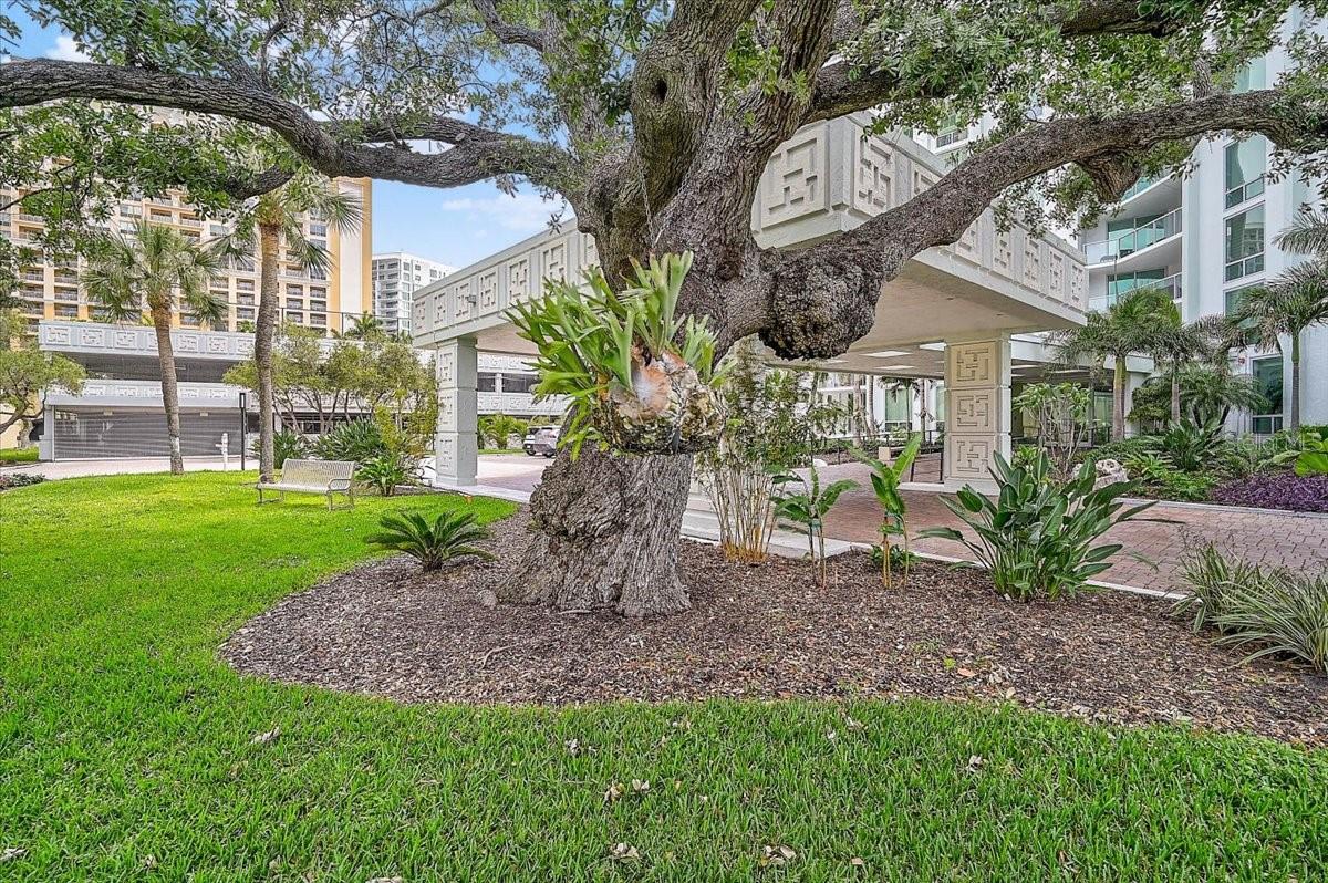 Image 65 of 100 For 1111 Gulfstream Avenue 7c