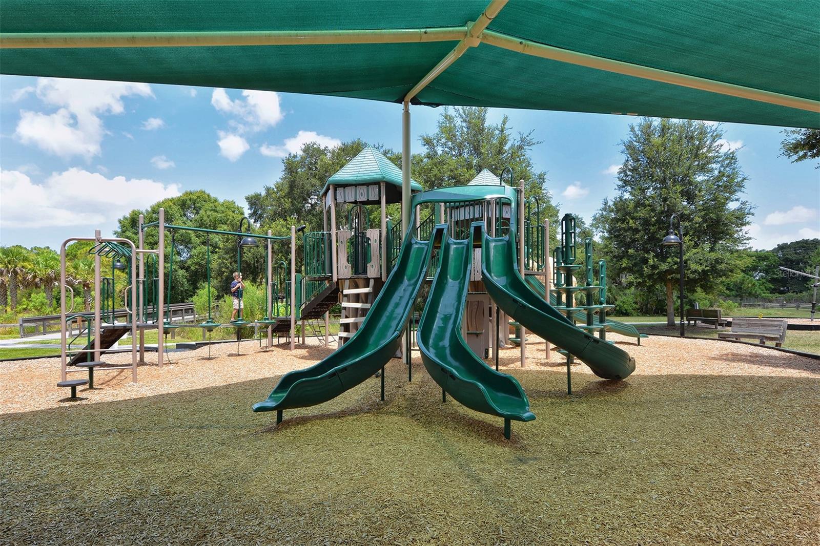 Image 41 of 44 For 4338 Madeira Court 3346