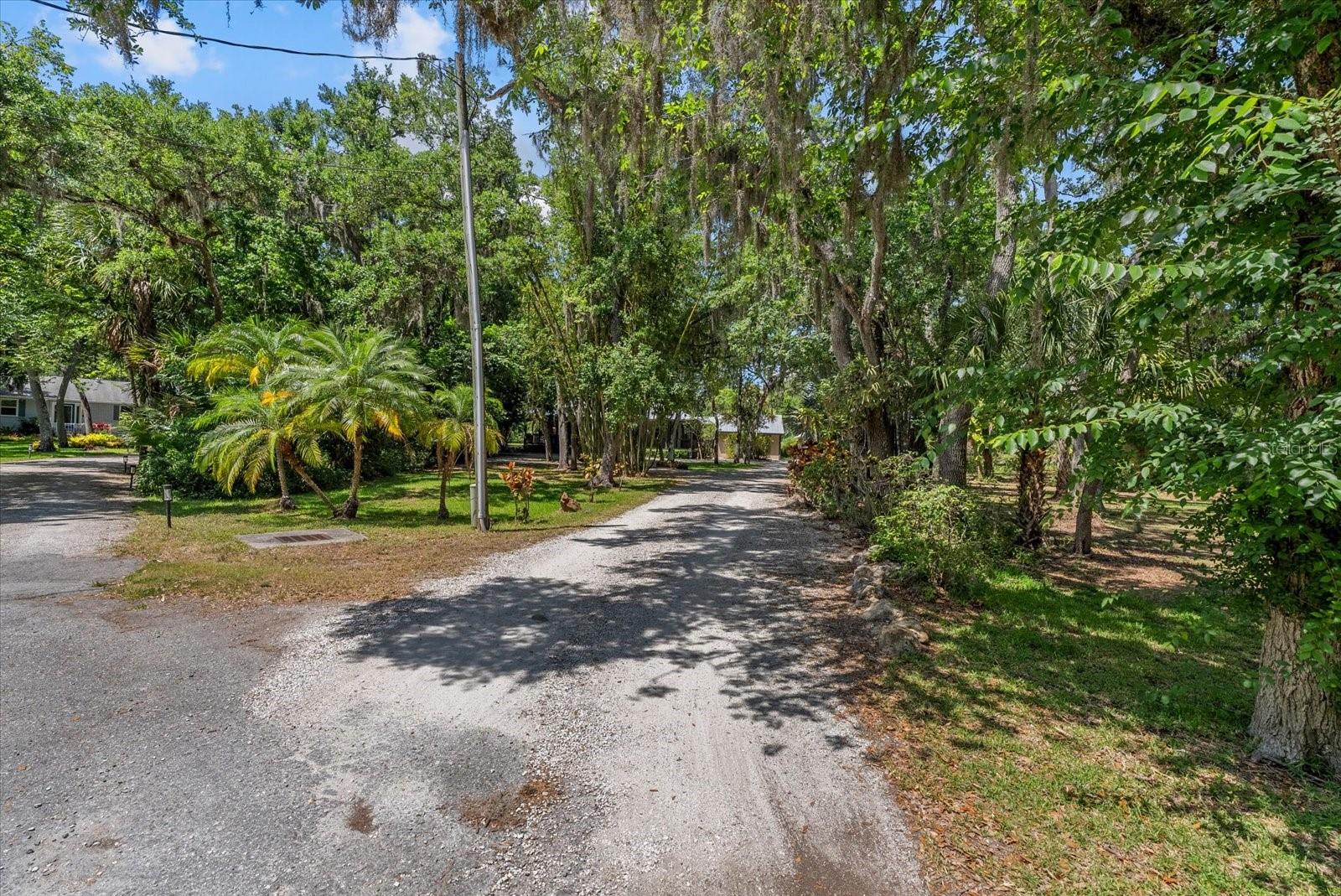 Image 61 of 80 For 1165 Vereda Verde