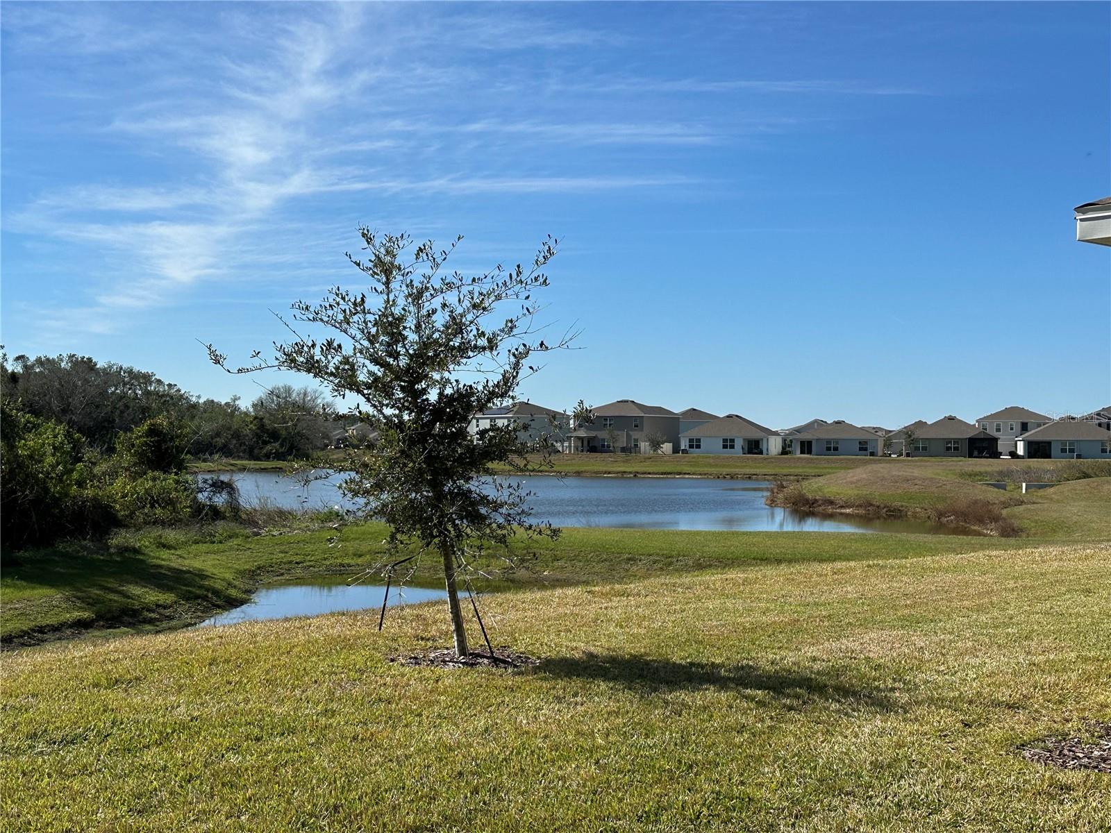 Image 31 of 32 For 17637 Cantarina Cove