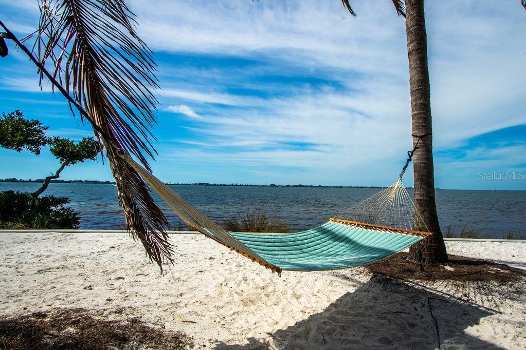 Image 43 of 49 For 387 Aruba Circle 103