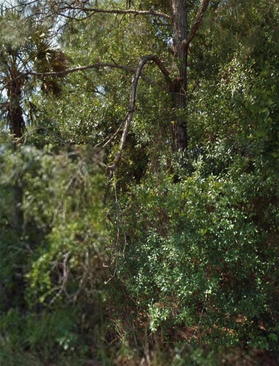 Listing Details for  Ohio Road , NORTH PORT, FL 34291
